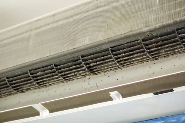 HVAC System Cleaning in St Peter, WI