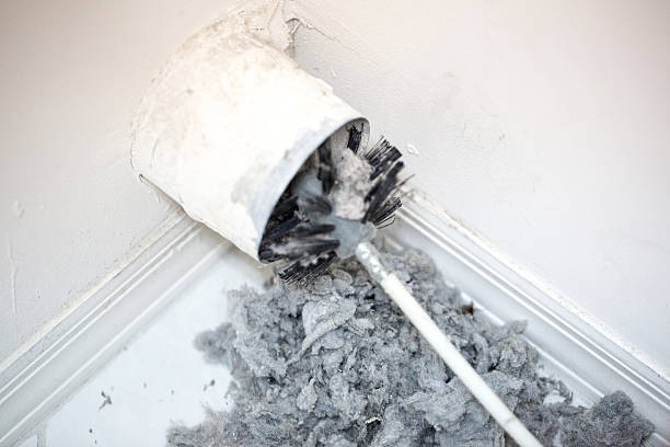 Best Air Duct Sanitizing Services  in St Peter, WI